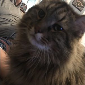 Meet your Posher, Jesse